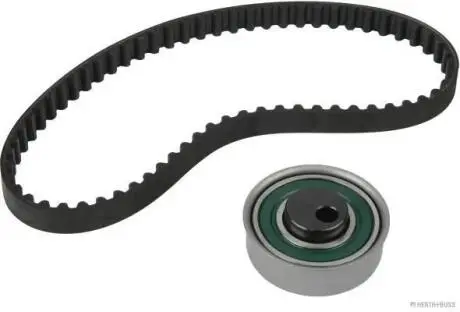 Роликовий модуль натягувача ременя (ролик, ремінь) HERTH+BUSS JAKOPARTS J1115004
