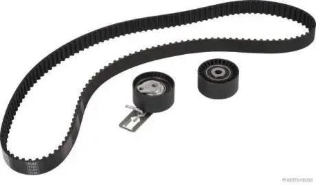 Роликовий модуль натягувача ременя (ролик, ремінь) HERTH+BUSS JAKOPARTS J1115102