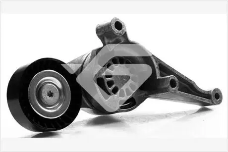 Ролик натяжной 1,9/2,0 TDI VW Golf (06-10), Passat (05-10), Caddy (04-10) HUTCHINSON T0260