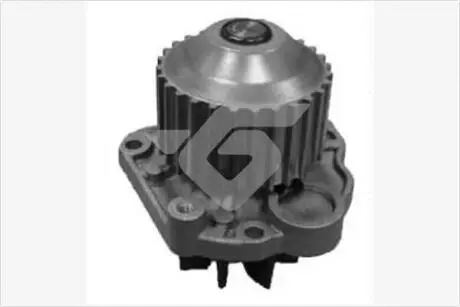 Насос водяной citroen c5/peugeot 406, 807/renault laguna 3.0 (00-) HUTCHINSON WP216