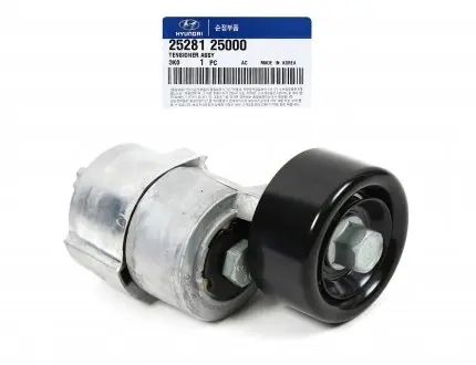 Ролик ремня с натяжителем Hyundai-KIA 2528125000