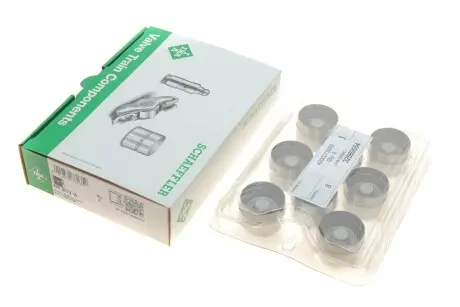 Гідрокомпенсатор VW T5/Caddy/Golf/Passat 1.9/2.5TDI 03- (35x26) (без DPF) INA 420 0273 10