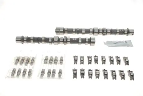 Розподільний вал Fiat Doblo 1.3 D 10-/Opel Combo 1.3CDTI 04- (к-кт) INA 428 0030 30