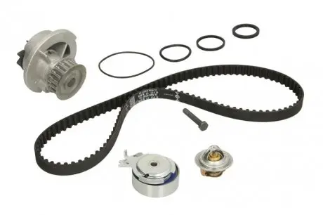 Комплект ГРМ INA 530 0004 31