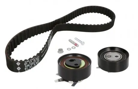 Ременной комплект грм INA 530006210