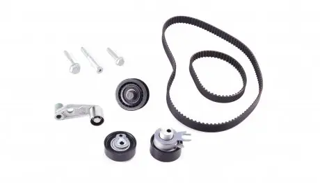 Комплект ГРМ INA 530008910