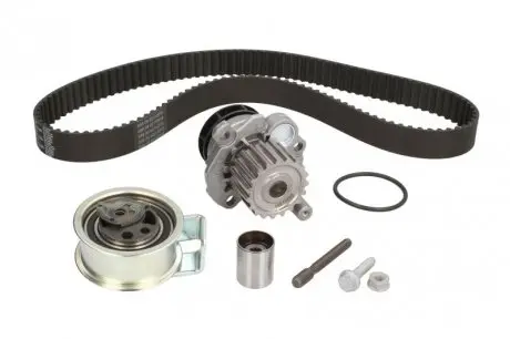 Комплект ГРМ INA 530 0091 31