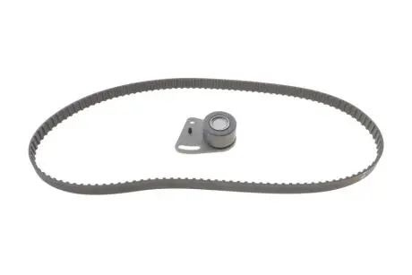 Комплект ГРМ INA 530013510