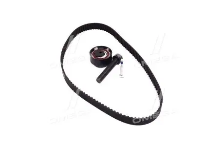 Комплект ремня грм, 2.5tdi/sdi 96-06 INA 530 0175 10