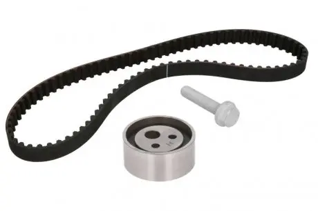 Ременной комплект грм INA 530018210