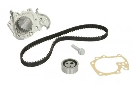 Комплект ГРМ с помпой INA 530019131
