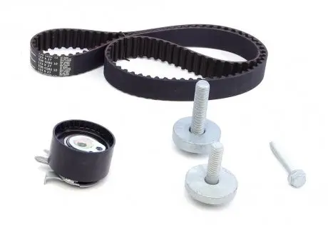 Комплект ГРМ INA 530019710