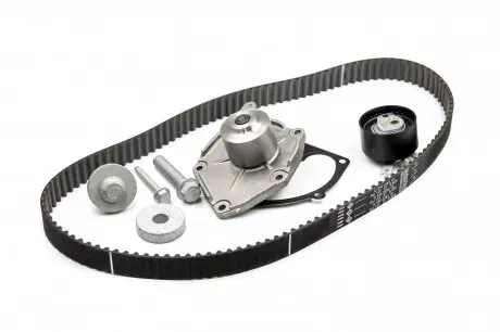 Комплект ГРМ с помпой INA 530019731