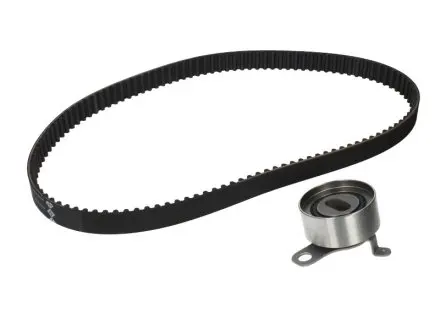 Ременной комплект грм INA 530026610