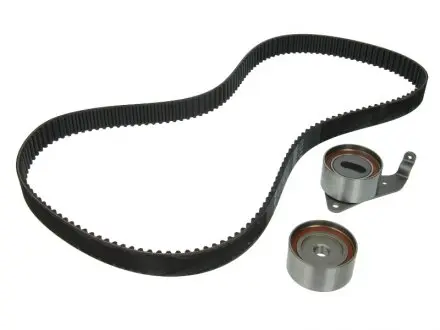 Ременной комплект грм INA 530026810