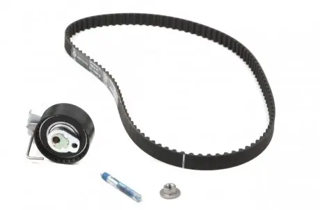 Комплект ремня ГРМ INA 530 0335 10