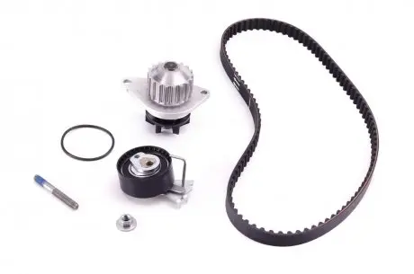 Комплект ремня ГРМ с помпой INA 530 0335 30