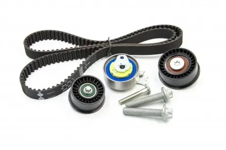 Комплект ГРМ (LDA, F18D3) INA 530044110