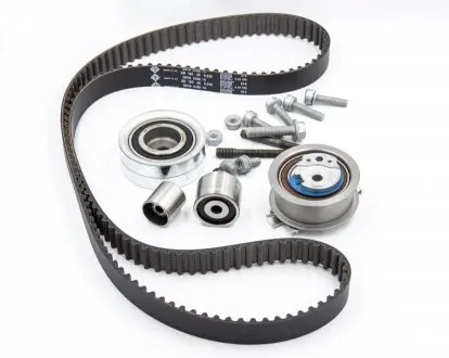 Комплект ГРМ INA 530055010