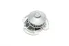 Комплект ГРМ + помпа VW Golf/Jetta/Polo 86-97 (19x128z) INA 530 0586 30 (030109119A, 030109119B, 030109119E) (фото 11)