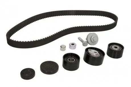 Ременной комплект грм INA 530063710