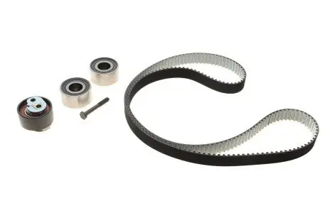 Комплект ГРМ Land Rover Discovery 04-/Sport 3.0D 13- (4x4) (195x29) INA 530 0933 10