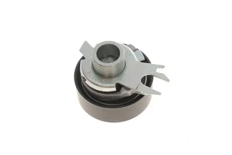 Натяжной ролик INA 531025230