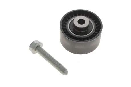 Ролик направляющий ГРМ 2.0i 16V Scudo/Expert 00-/Citroen C4 05-/C5 01- INA 532 0289 10