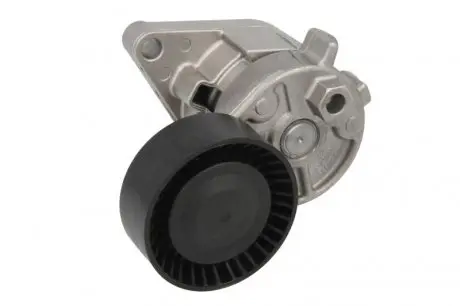 Натяжитель ремня INA 533001510