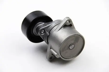 Натяжитель ремня mb sprinter cdi 01- INA 533001710