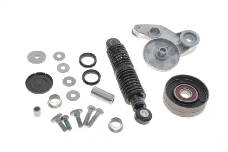 Ремкомплект механизма натяжения ремня генератора 2.5 TDI INA 533011810