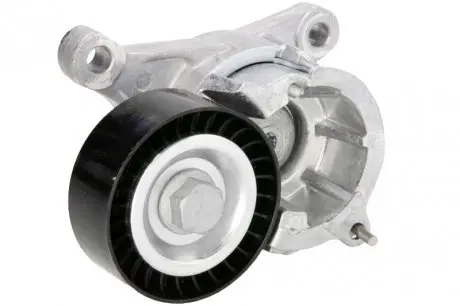 Натяжитель ремня INA 534002210