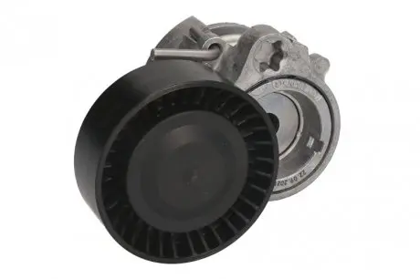 Натяжитель ремня INA 534005010