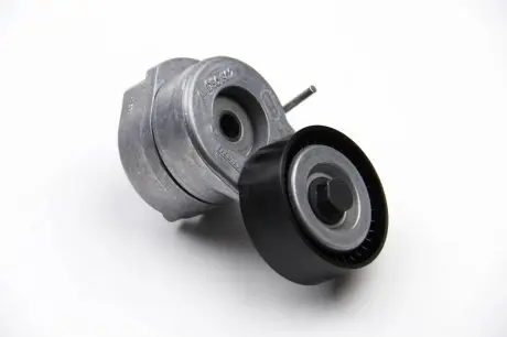 Натяжитель ремня генератора Combo 1.3CDTi 04- INA 534 0053 10