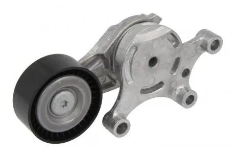 Натяжитель поликлинового ремня INA 534007520