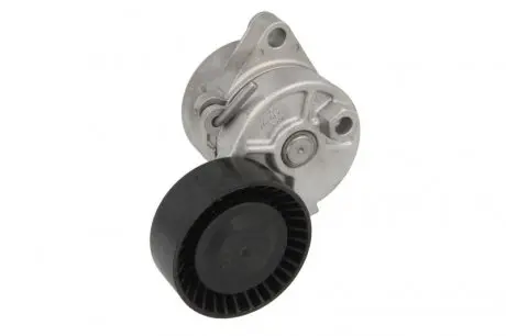 Натяжитель ремня INA 534010410