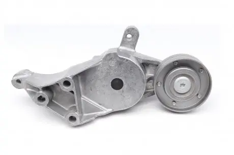 Натяжитель ремня генератора 1.9 SDI/TDI (AGP/AQM) Golf IV/Caddy II INA 534 0140 30