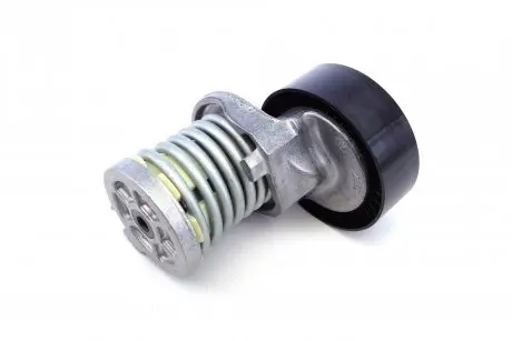 Натяжитель ремня приводного INA 534016410