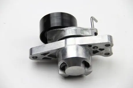 Натяжитель ремня INA 534017910