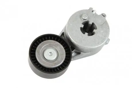 Натяжитель поликлинового ремня INA 534033310