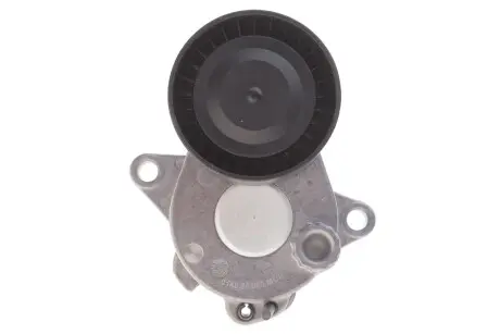 Натяжитель поликлинового ремня INA 534044310