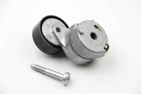 Натяжитель ремня генератора Doblo 1.3JTD 05- INA 534 0607 10