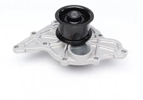 Водяной насос (2.5 TDI) INA 538034910