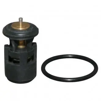 Термостат, охлаждающая жидкость JP GROUP 1114600711