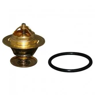 Термостат, охлаждающая жидкость JP GROUP 1114601110