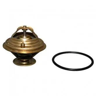 Термостат, охлаждающая жидкость JP GROUP 1114601410