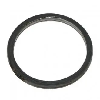 Прокладка глушителя Combo/Meriva 01-1.7CDTI JP GROUP 1221100200