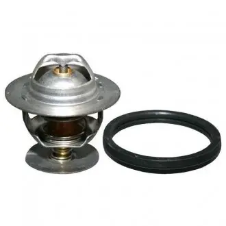 Термостат, охлаждающая жидкость JP GROUP 1514600310