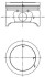 Поршень двигуна KOLBENSCHMIDT 40161600 (фото 1)