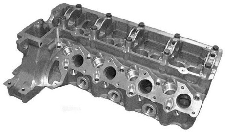 Головка блока цилиндров KOLBENSCHMIDT 50003119